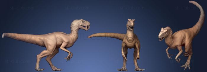 3D model Velociraptor (STL)